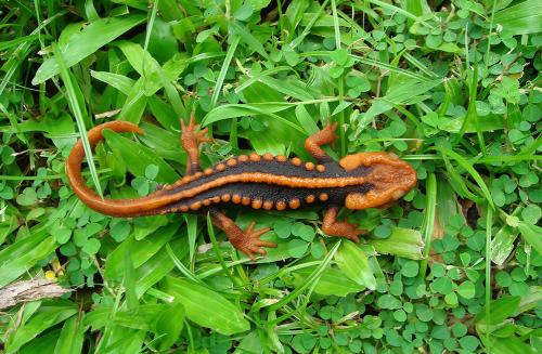 27 самых интересных научных фотографий 2016 года