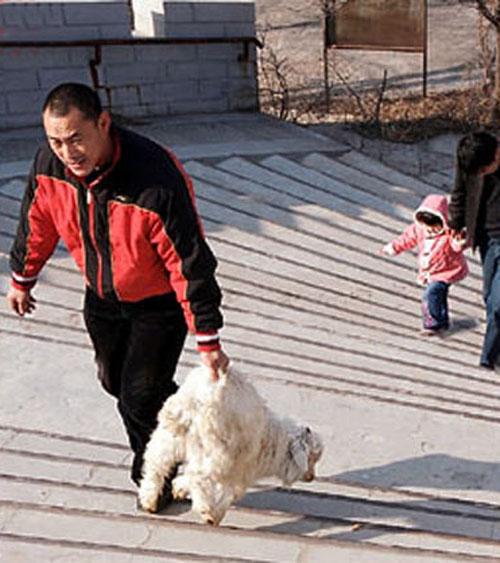 В Китае детей приглашают принять участие в расправе над животными