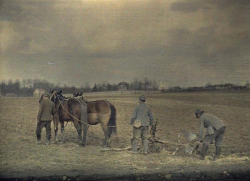 Фотографии  времен Первой мировой войны в цвете