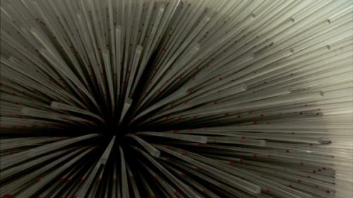 «Засеянный собор» осуществил высокую миссию на Всемирной выставке