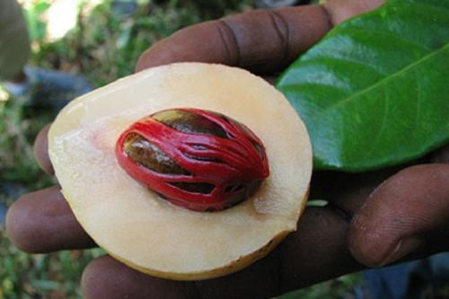 Поразительные странности природы