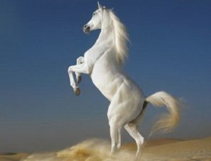 Поразительные странности природы