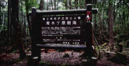 Семь самых страшных лесов планеты