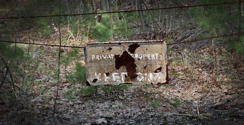 Семь самых страшных лесов планеты