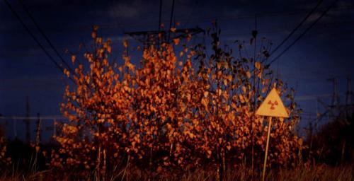 Семь самых страшных лесов планеты