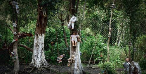 Семь самых страшных лесов планеты