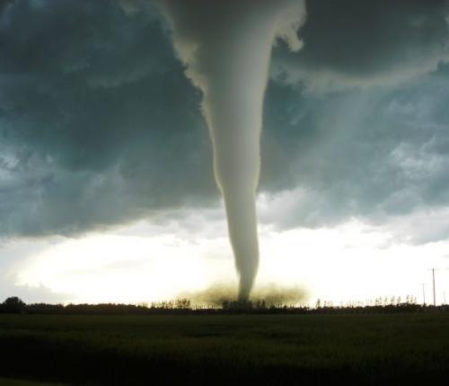 Нелепые рекорды, побить которые никому не приходит в голову