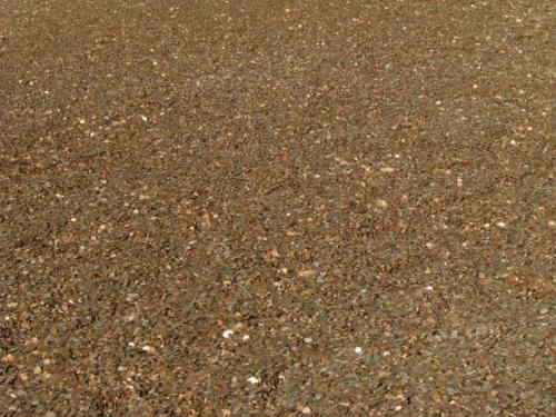 В Нью-Йорке собрали «море денег»