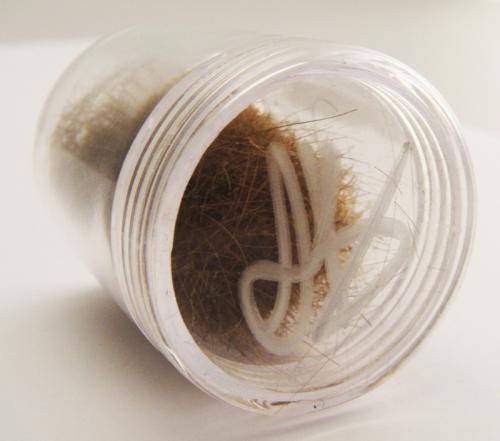 Какие немыслимые вещи, принадлежащие знаменитостям, скупают поклонники