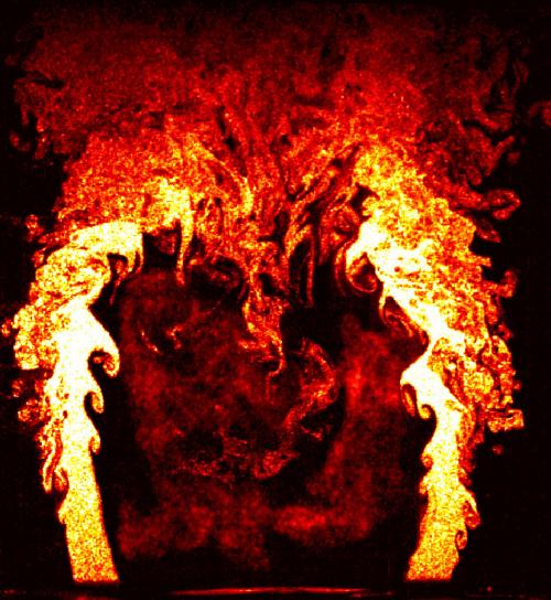 В Кембридже названы победители конкурса научной фотографии