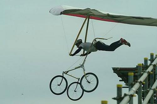 Человекоптицам из  Богнора подрезали крылья