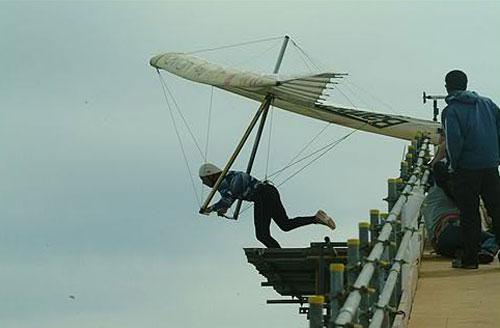 Человекоптицам из  Богнора подрезали крылья