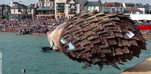 Человекоптицам из  Богнора подрезали крылья