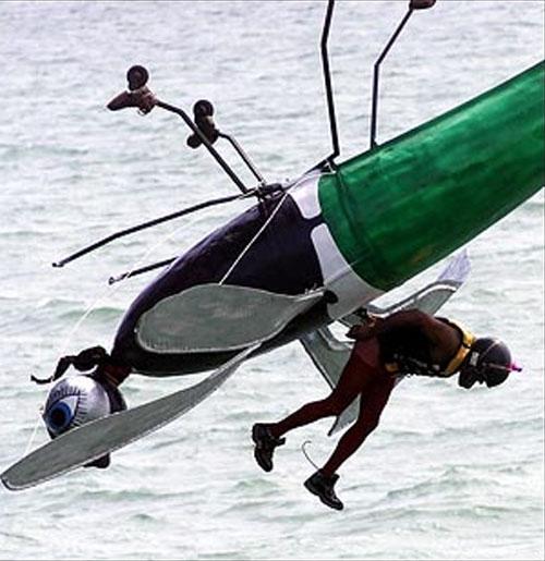 Человекоптицам из  Богнора подрезали крылья