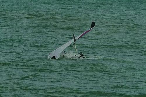 Человекоптицам из  Богнора подрезали крылья