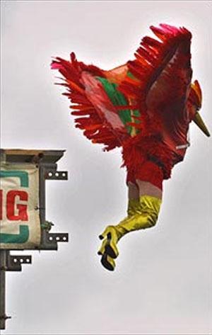 Человекоптицам из  Богнора подрезали крылья