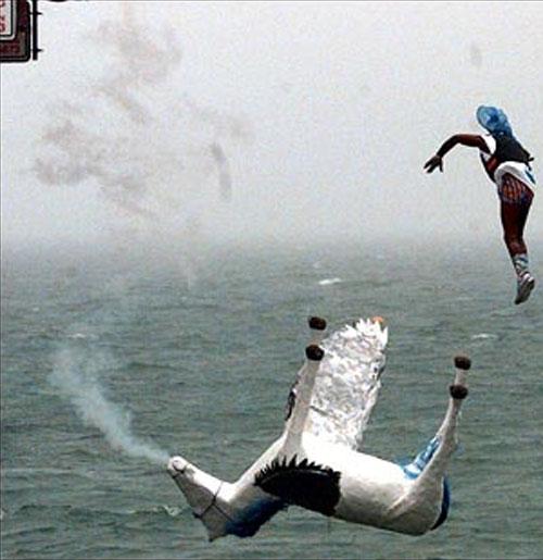 Человекоптицам из  Богнора подрезали крылья