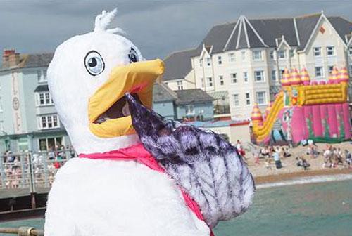 Человекоптицам из  Богнора подрезали крылья