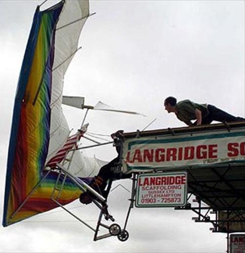 Человекоптицам из  Богнора подрезали крылья