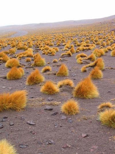 Самые экзотичные уголки Земли