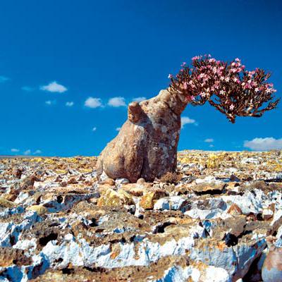 Самые экзотичные уголки Земли