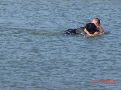 Мужчина спас тонущего в океане медведя