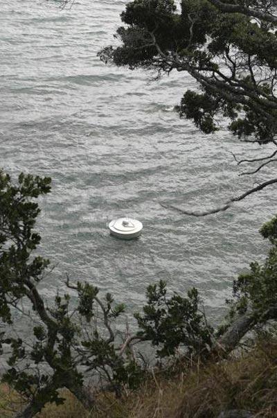 Правнуки монстров с острова Пасхи