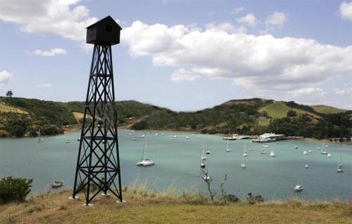 Правнуки монстров с острова Пасхи