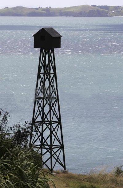 Правнуки монстров с острова Пасхи