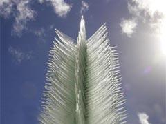 Правнуки монстров с острова Пасхи