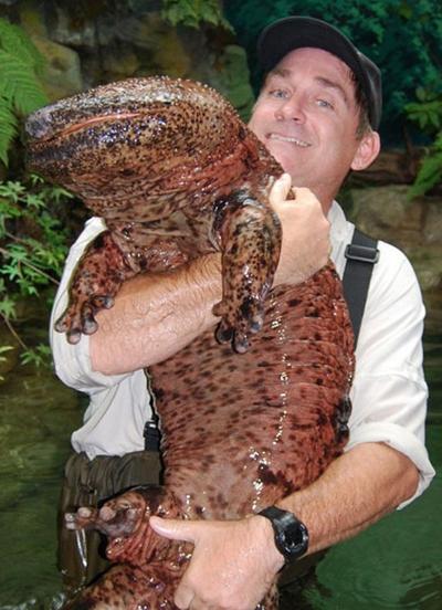 Топ-15 самых странных животных планеты