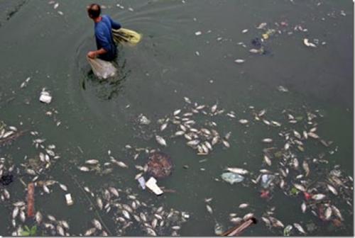 10 самых загрязненных рек мира