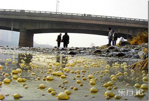 10 самых загрязненных рек мира