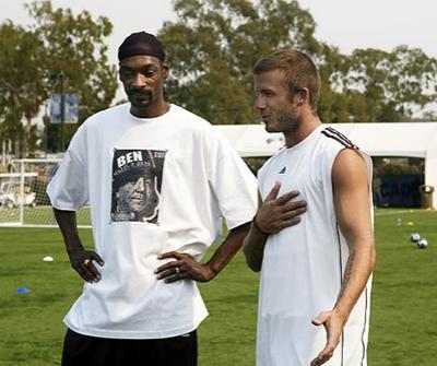 Странная дружба звезд