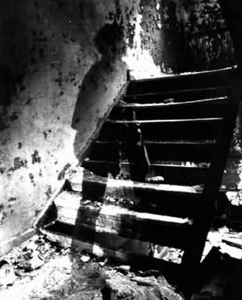 Коллекция призраков Мишеля Арволи