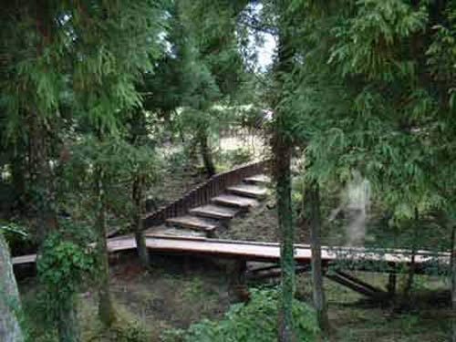 Коллекция призраков Мишеля Арволи