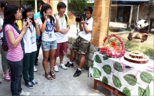 Панда-долгожительница отметила юбилей