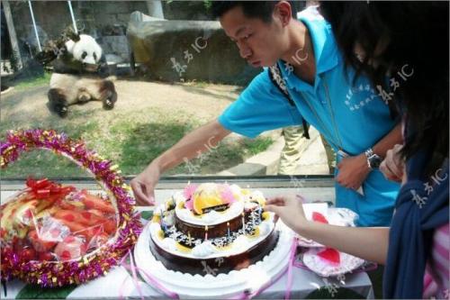 Панда-долгожительница отметила юбилей