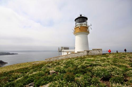 Удивительные случаи массовых исчезновений