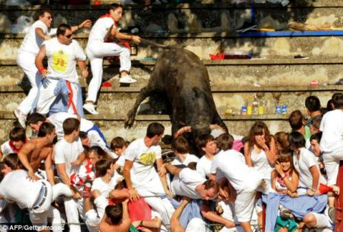 Бык растоптал  зрителей шоу