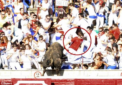 Бык растоптал  зрителей шоу