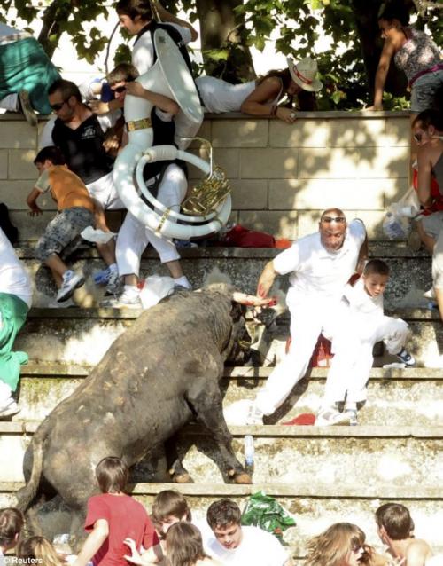 Бык растоптал  зрителей шоу