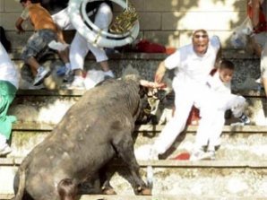 Бык растоптал  зрителей шоу