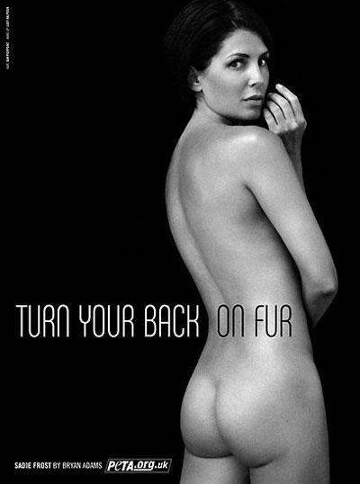 Звёздная коллекция защитников животных: протесты во всех проявлениях