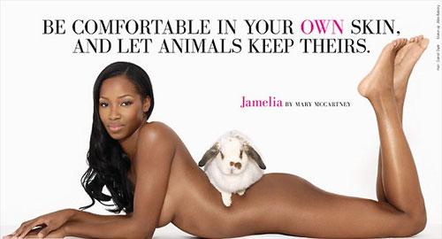 Звёздная коллекция защитников животных: протесты во всех проявлениях