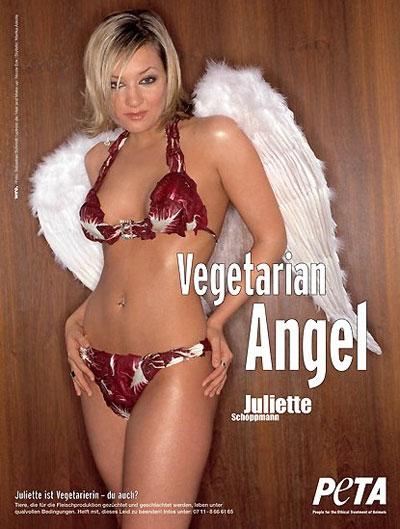 Звёздная коллекция защитников животных: протесты во всех проявлениях