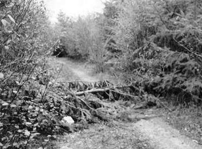 10 жен маньяков, которые не замечали, что живут с монстрами