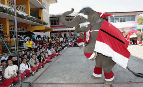 Слоновий Санта Клаус порадовал больших и маленьких…
