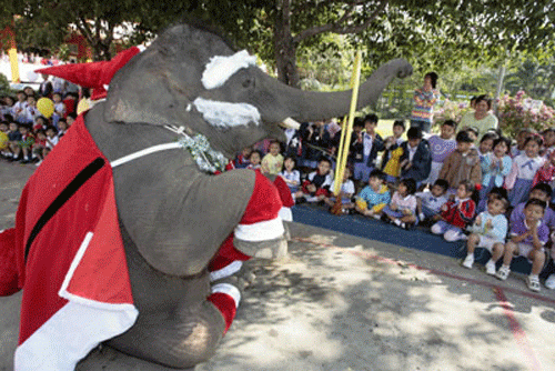 Слоновий Санта Клаус порадовал больших и маленьких…