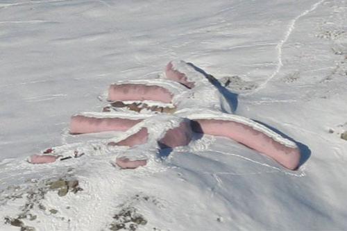 58-метровый розовый заяц начал стареть